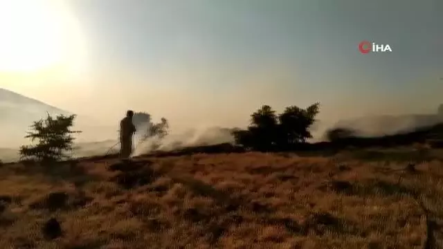 Elazığ'daki örtü yangını rüzgarın etkisiyle yeniden alevlendi