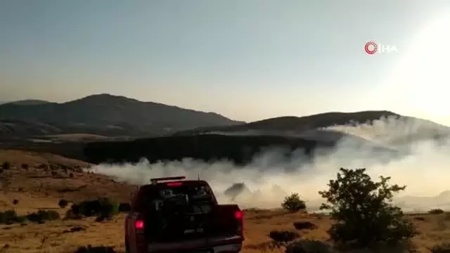 Elazığ'daki örtü yangını rüzgarın etkisiyle yeniden alevlendi