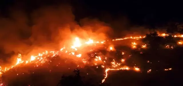 Elazığ'daki örtü yangını rüzgarın etkisiyle yeniden alevlendi Elazığ'daki örtü yangını rüzgarın etkisiyle yeniden alevlendi