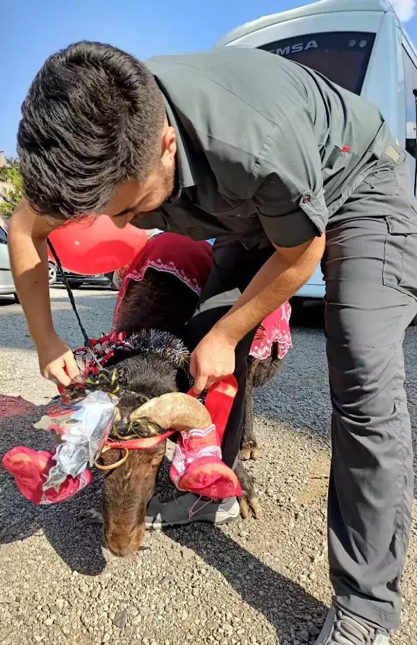 ERZURUM'DA 'GELİN KOÇU' GELENEĞİ DEVAM EDİYOR