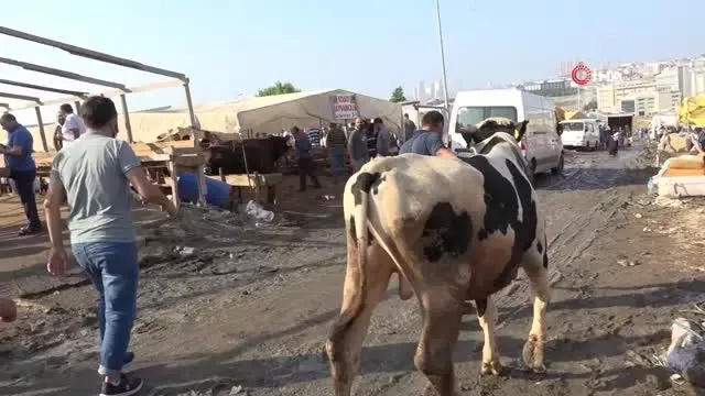 Esenyurt'ta drone'lu kaçak kesim denetimi