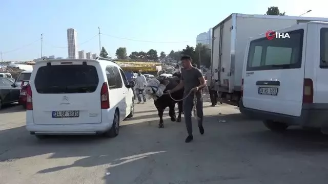 Esenyurt'ta drone'lu kaçak kesim denetimi