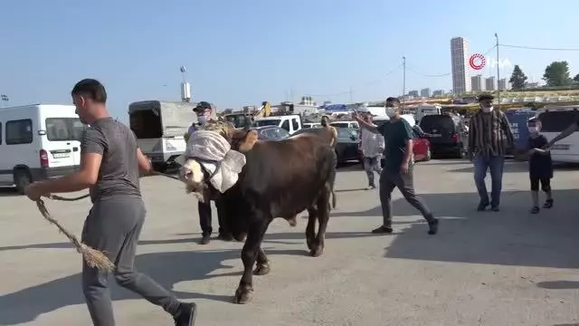 Esenyurt'ta drone'lu kaçak kesim denetimi