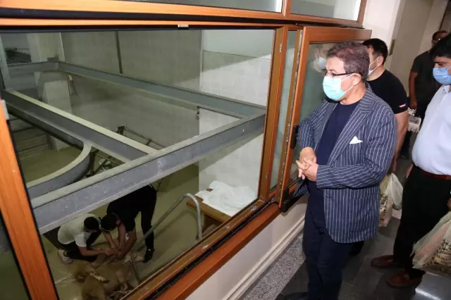 Şehitlerimiz için kurbanlar kesildi