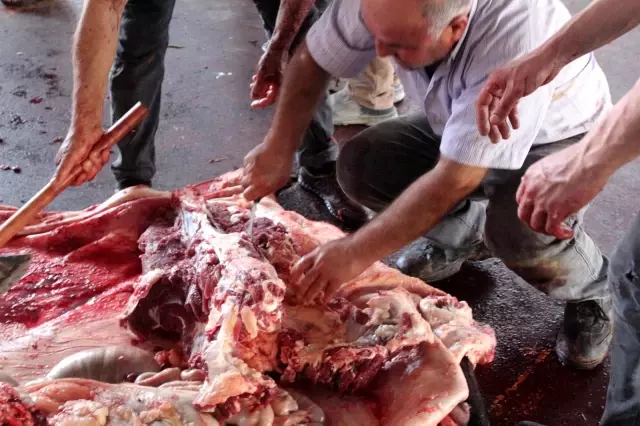 Gaziantep'te kurbanlar kesilmeye başlandı