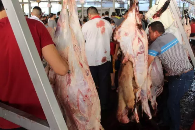 Gaziantep'te kurbanlar kesilmeye başlandı
