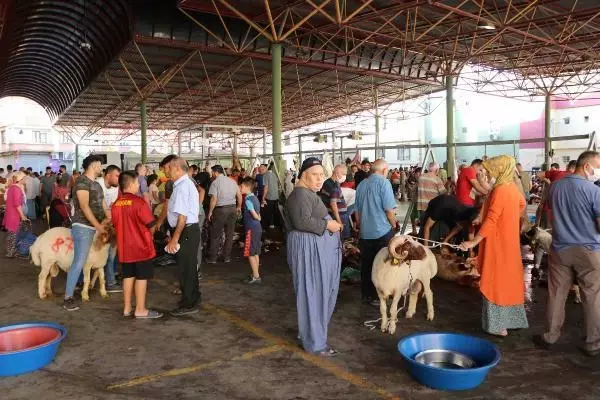 GAZİANTEP'TE YETİŞKİNLER KURBAN KESTİ, ÇOCUKLAR İZLEDİ