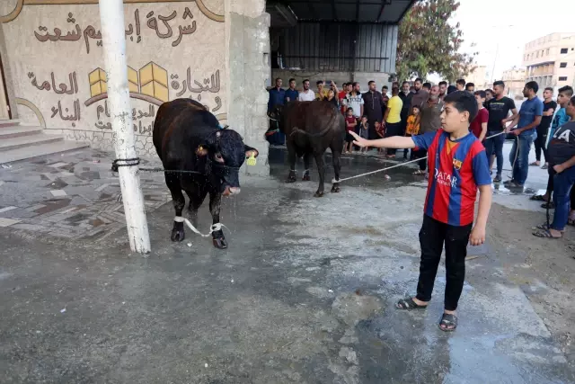 Gazze'de kurbanlıklarını kesen Filistinliler, etlerini ihtiyaç sahipleriyle paylaştı Gazze'de kurbanlıklarını kesen Filistinliler, etlerini ihtiyaç sahipleriyle paylaştı