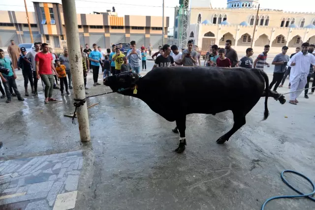 Gazze'de kurbanlıklarını kesen Filistinliler, etlerini ihtiyaç sahipleriyle paylaştı