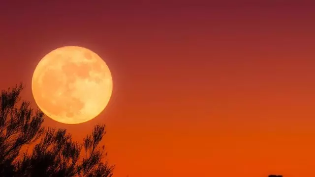 Geri sayım sürüyor, sadece 4 gün kaldı! Yaşanacakları Astrolog Aysun Koç tek tek anlattı Geri sayım sürüyor, sadece 4 gün kaldı! Yaşanacakları Astrolog Aysun Koç tek tek anlattı