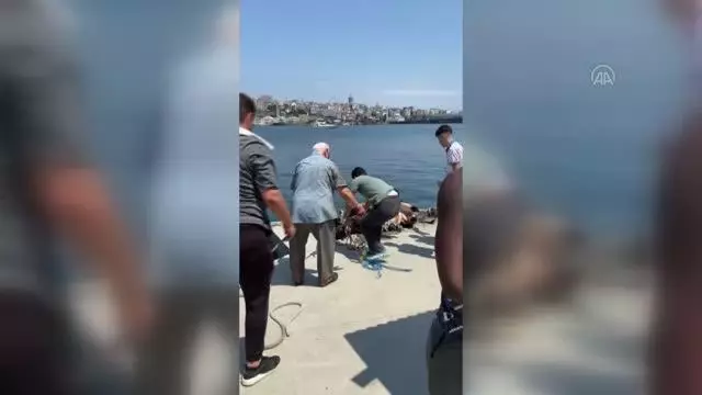 Haliç'te suya düşen büyükbaş kurbanlığı deniz polisi kurtardı
