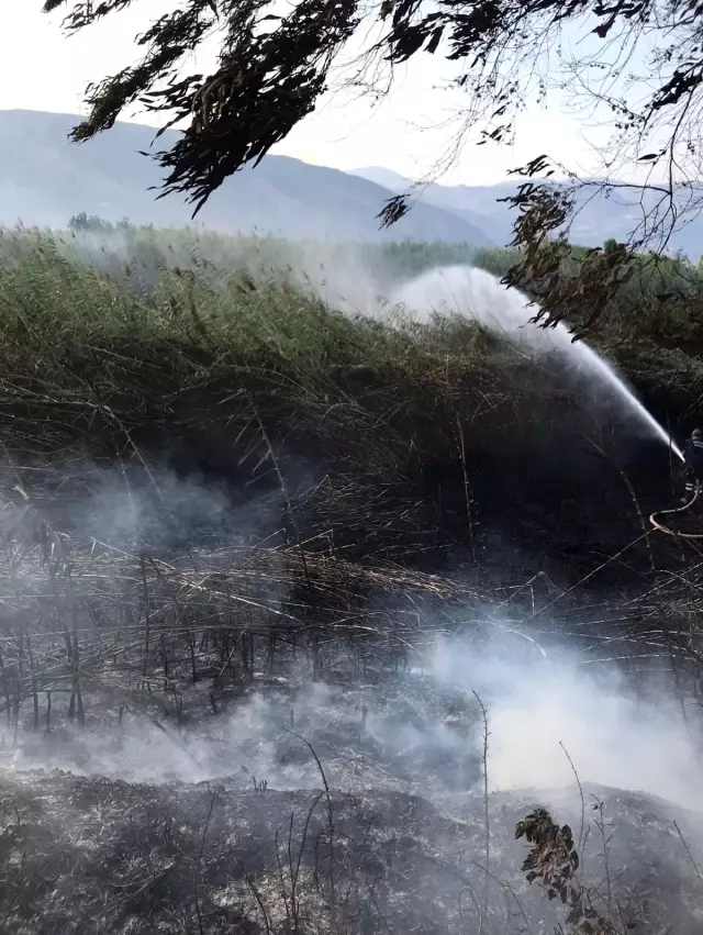 Hatay'da sazlık alandaki yangın kontrol altına alındı
