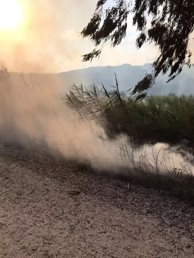 Hatay'da sazlık alandaki yangın kontrol altına alındı