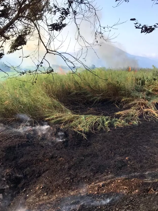Hatay'da sazlık alandaki yangın kontrol altına alındı