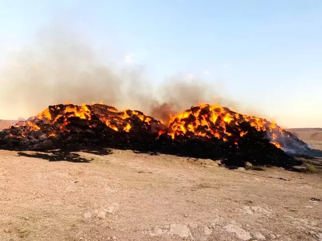 Haymana'da 5 bin balya saman yanarak kül oldu Haymana'da 5 bin balya saman yanarak kül oldu