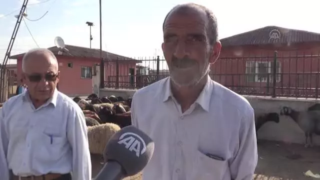 Hayvan pazarlarında bayramın ilk gününde de hareketlilik yaşanıyor