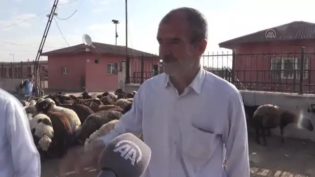 Hayvan pazarlarında bayramın ilk gününde de hareketlilik yaşanıyor