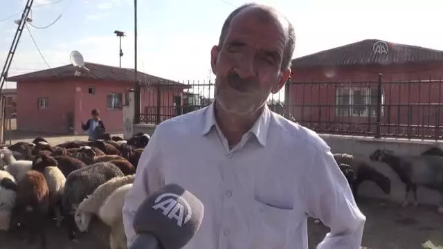 Hayvan pazarlarında bayramın ilk gününde de hareketlilik yaşanıyor