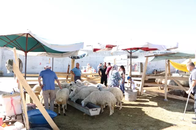 Kurban Bayramı kutlanıyor