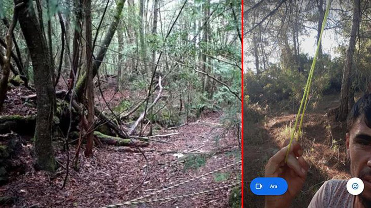 İple çekildiği fotoğrafı kayınvalidesine gönderen adam, ormanda ağaca asılı halde bulundu