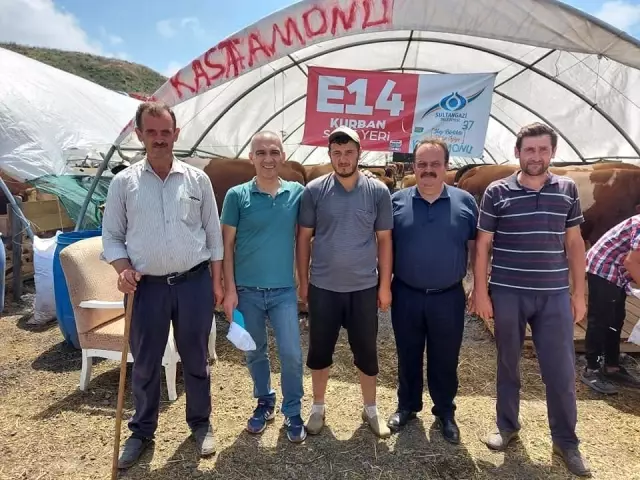İstanbul'a götürülen kurbanlıkların yüzde 80'i satıldı