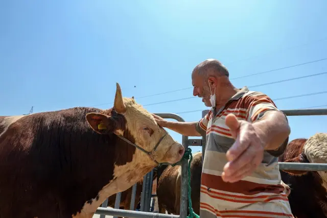 Kurban pazarları ve kesimhanelerdeki yoğunluk sürüyor