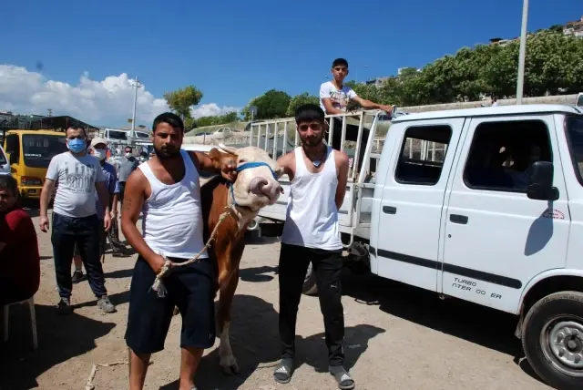 Başkent'te Kurban Bayramı yoğunluğu