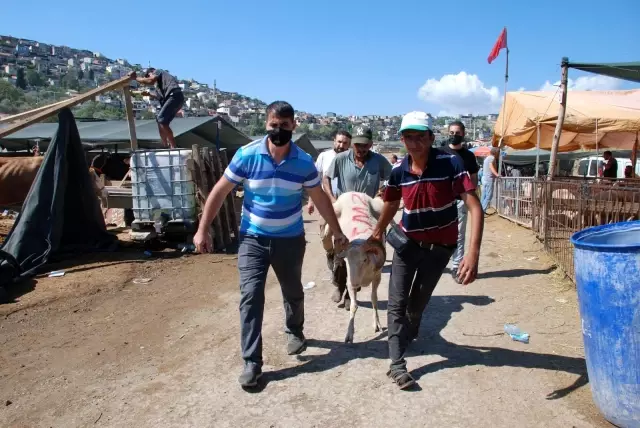 Başkent'te Kurban Bayramı yoğunluğu