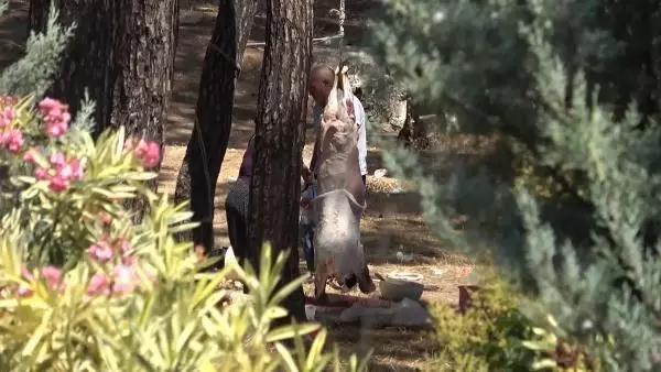 İzmir'de kurbanlıklar sokakta kesildi