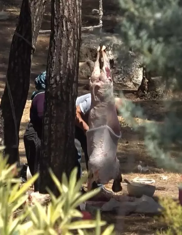 İzmir'de kurbanlıklar sokakta kesildi
