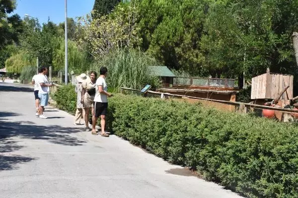 İzmir'in doğal yaşam parkında bayram yoğunluğu