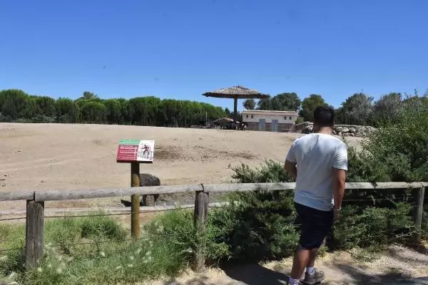 İzmir'in doğal yaşam parkında bayram yoğunluğu