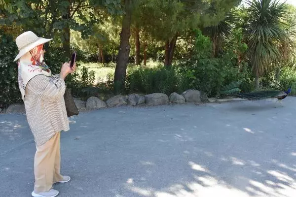 İzmir'in doğal yaşam parkında bayram yoğunluğu