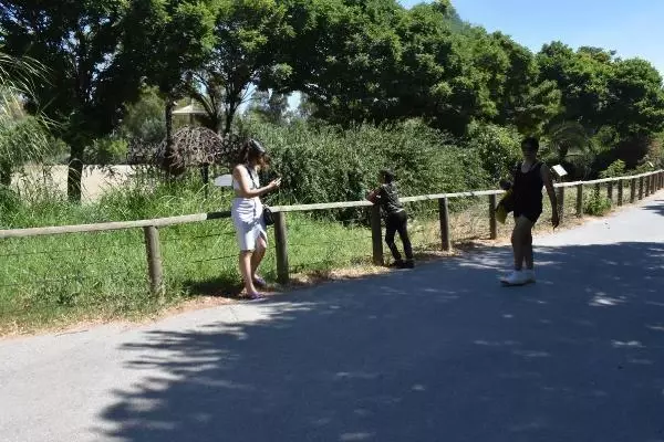 İzmir'in doğal yaşam parkında bayram yoğunluğu