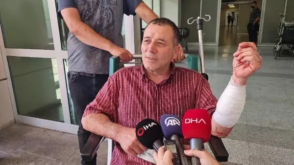 İZMİT'TE KURBAN KESİMİNDE YARALANANLAR HASTANELERE KOŞTU