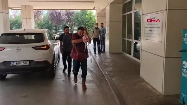 İZMİT'TE KURBAN KESİMİNDE YARALANANLAR HASTANELERE KOŞTU