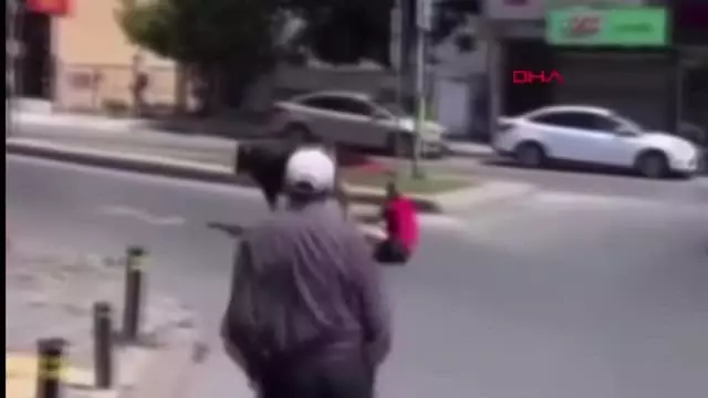 KAÇAN DANAYI KUYRUĞUNDAN TUTARAK DURDURMAYA ÇALIŞINCA... 2