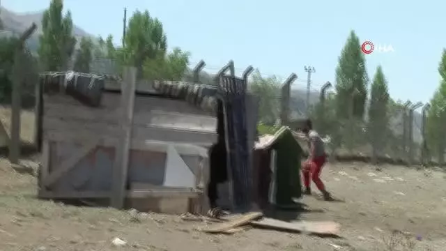 Kaçan kurbanlıklar ortalığı birbirine kattı