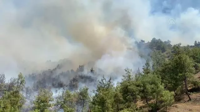 KAHRAMANMARAŞ - Orman yangını kontrol altına alındı