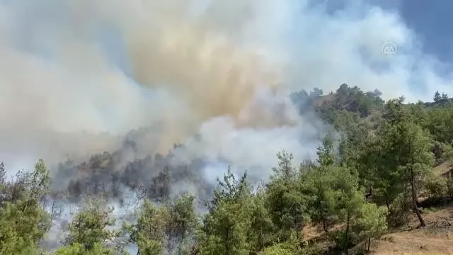 KAHRAMANMARAŞ - Orman yangını kontrol altına alındı