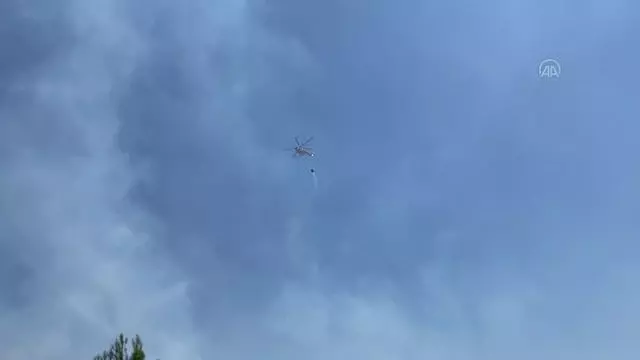 KAHRAMANMARAŞ - Orman yangını kontrol altına alındı