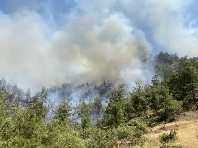KAHRAMANMARAŞ - Orman yangını kontrol altına alındı