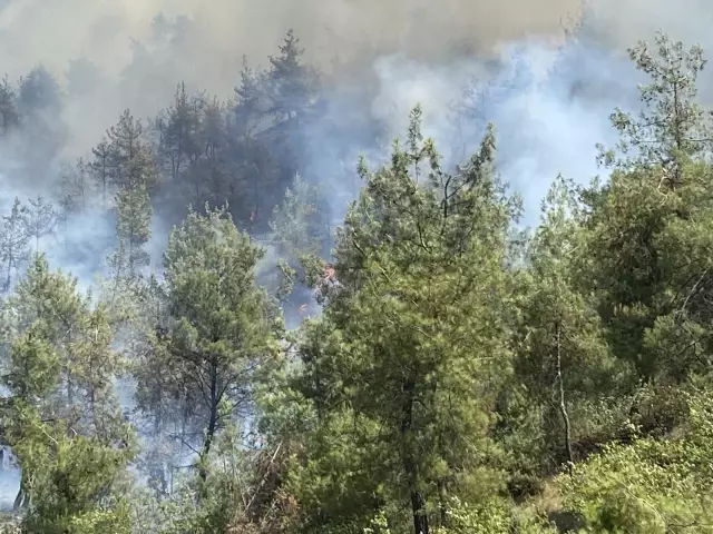 KAHRAMANMARAŞ - Orman yangını kontrol altına alındı