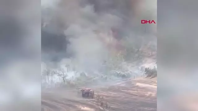Son dakika haber! KAHRAMANMARAŞ'TA ORMAN YANGINI Son dakika haber! KAHRAMANMARAŞ'TA ORMAN YANGINI