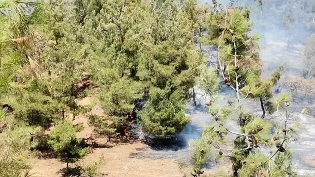 Kahramanmaraş'ta orman yangını Kahramanmaraş'ta orman yangını