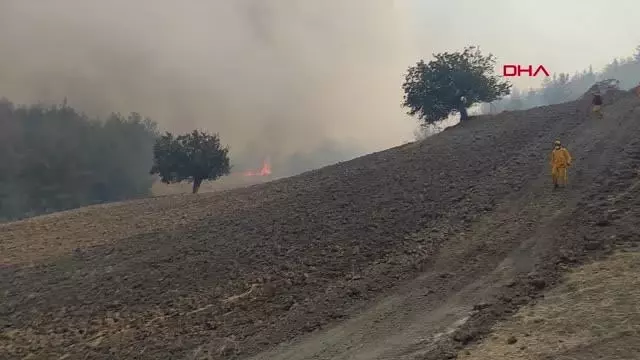 Son dakika haber! KAHRAMANMARAŞ'TA ORMAN YANGINI Son dakika haber! KAHRAMANMARAŞ'TA ORMAN YANGINI