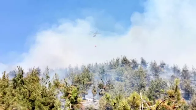 Kahramanmaraş'ta orman yangını