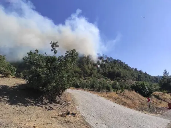 Son dakika haber! KAHRAMANMARAŞ'TA ORMAN YANGINI