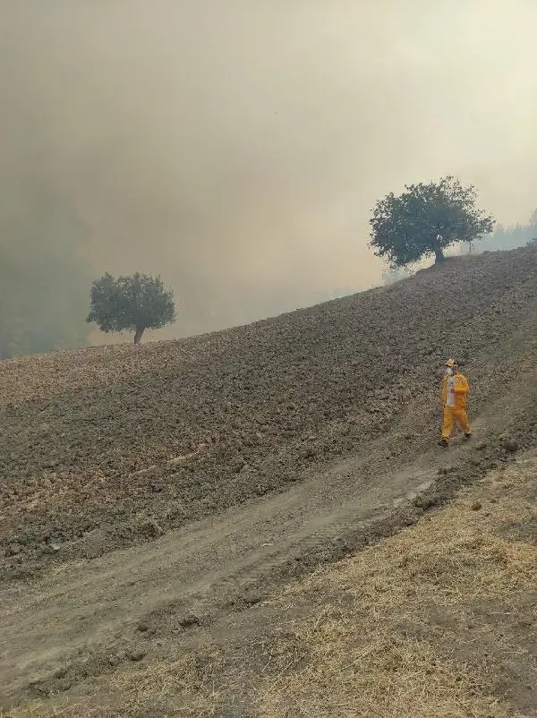 Son dakika haber! KAHRAMANMARAŞ'TA ORMAN YANGINI