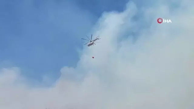Kahramanmaraş'ta orman yangını